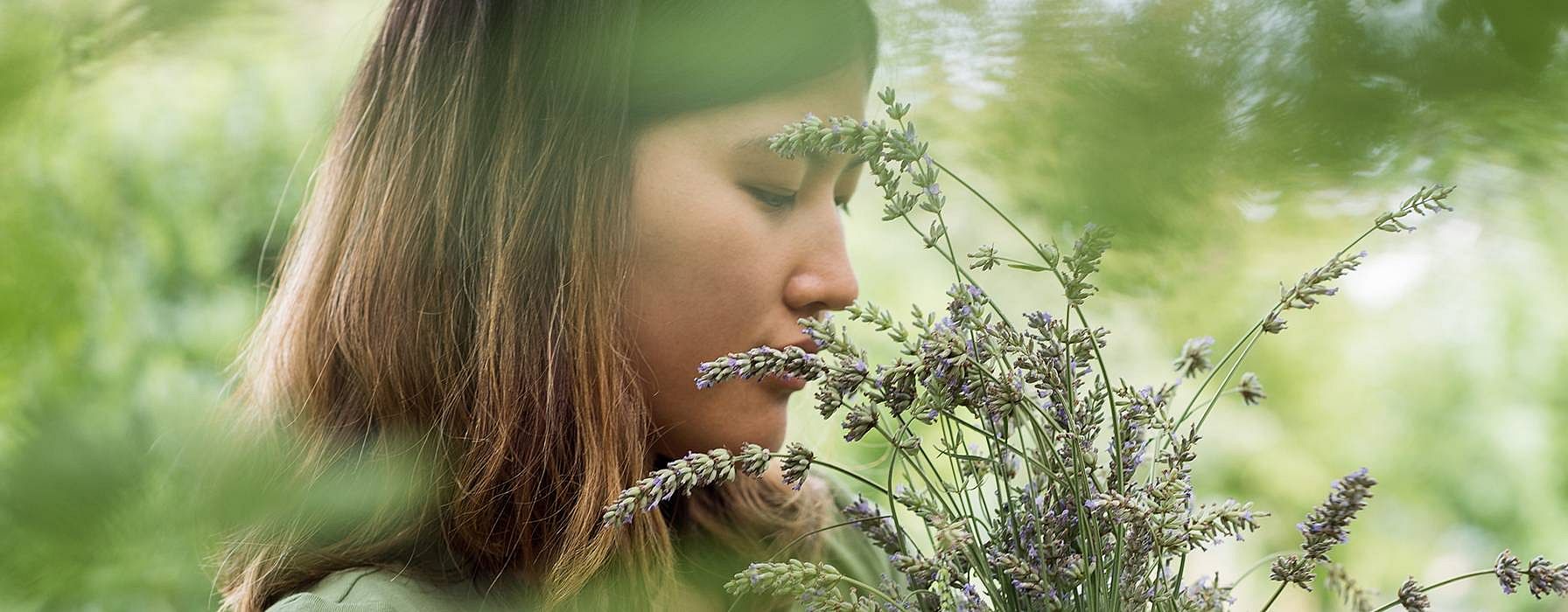 hd_lavender
