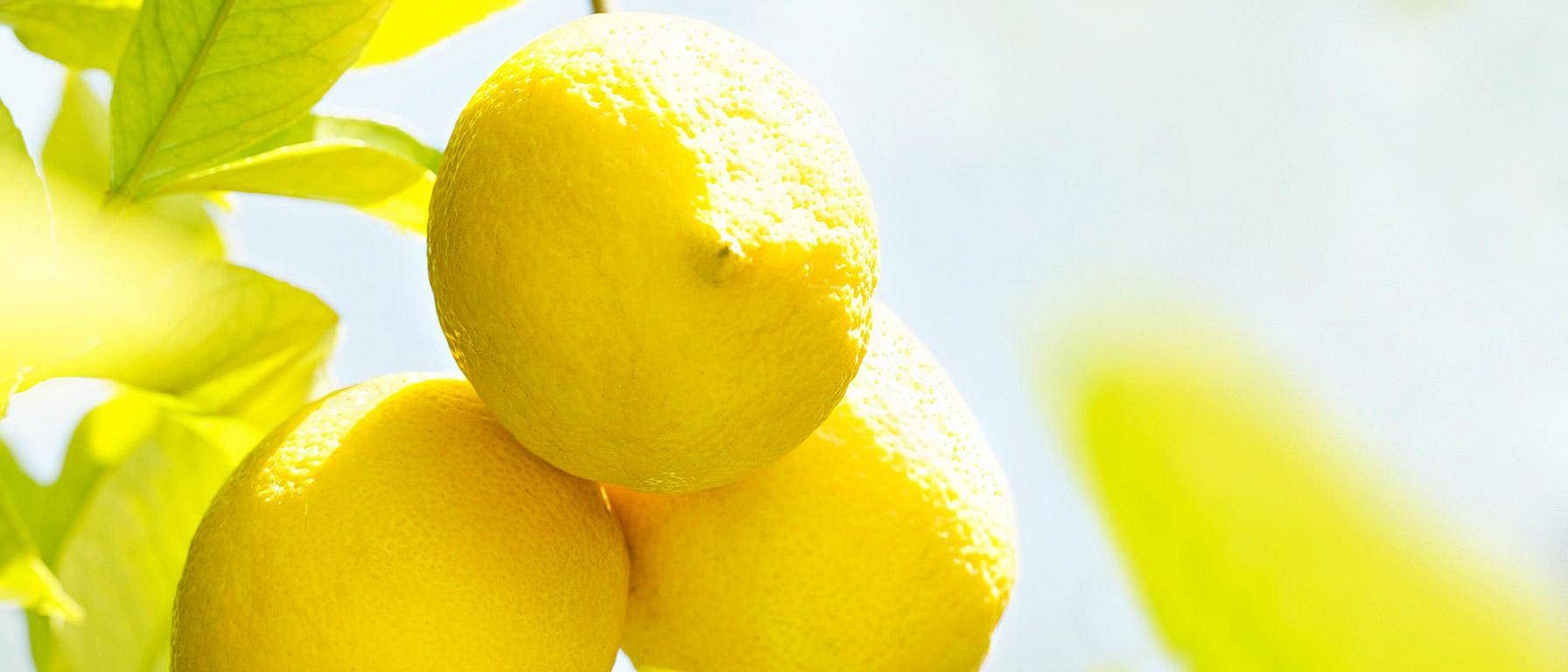 hd_citrus.jpg