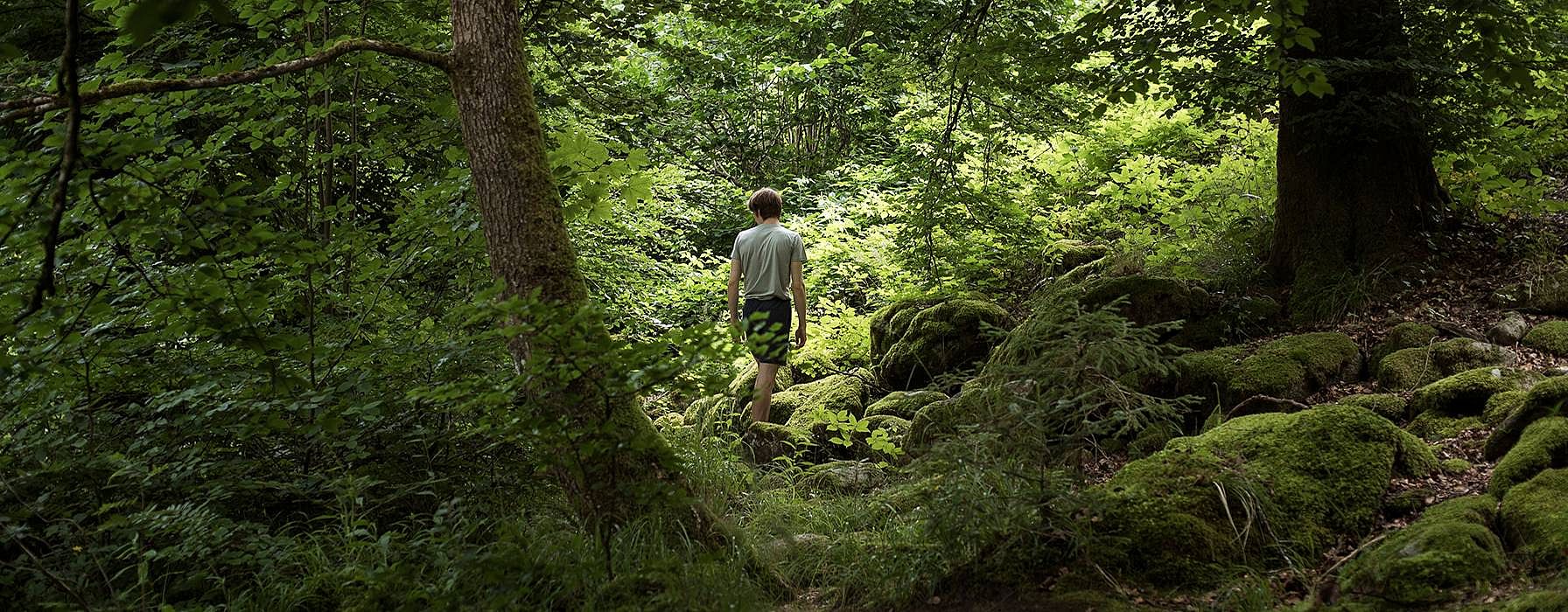 hd_man_walking_in_forest