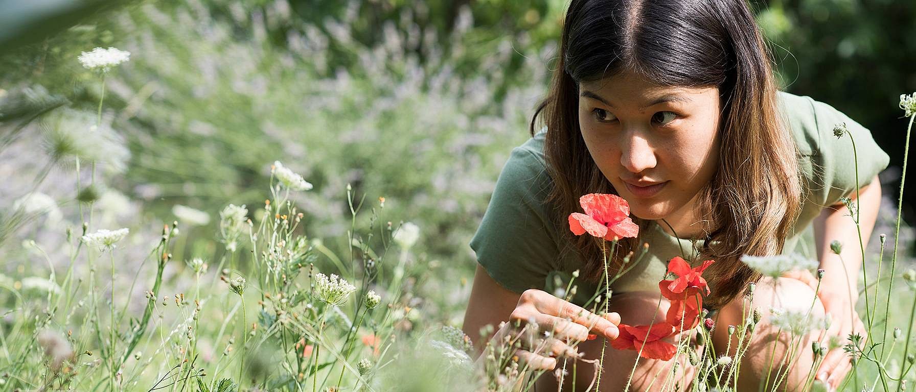 hd_flower_smell