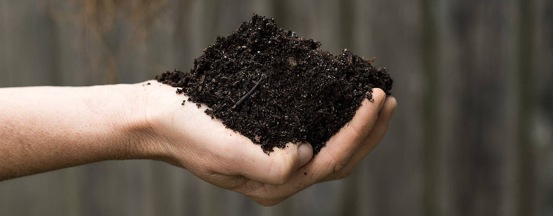 hd_soil_in_hand.jpg