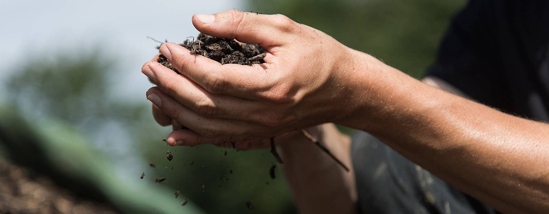 hd_soil_trickling_through_hands