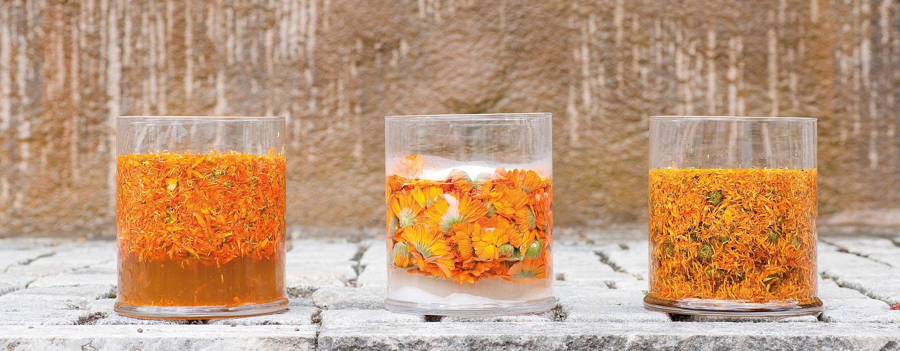 hd_calendula_extract_processing