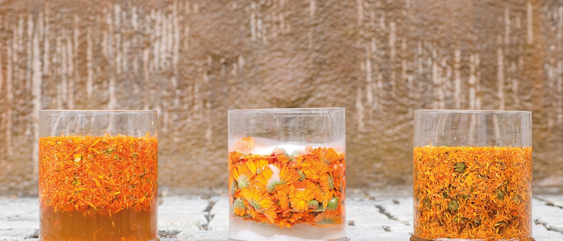 Körömvirág virágok poharakban