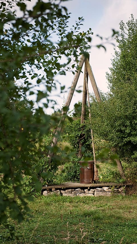 garden_biodynamic.jpg