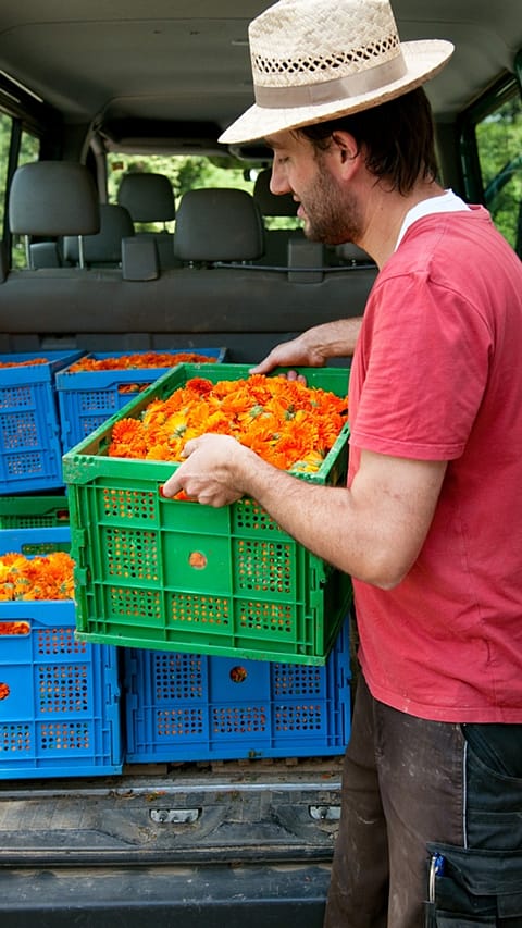 picked_by_hand.jpg
