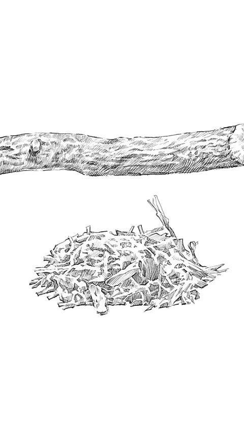 liquorice_roots_pieces.jpg