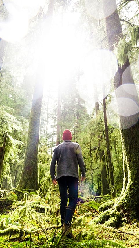 forest_visit_male.jpg