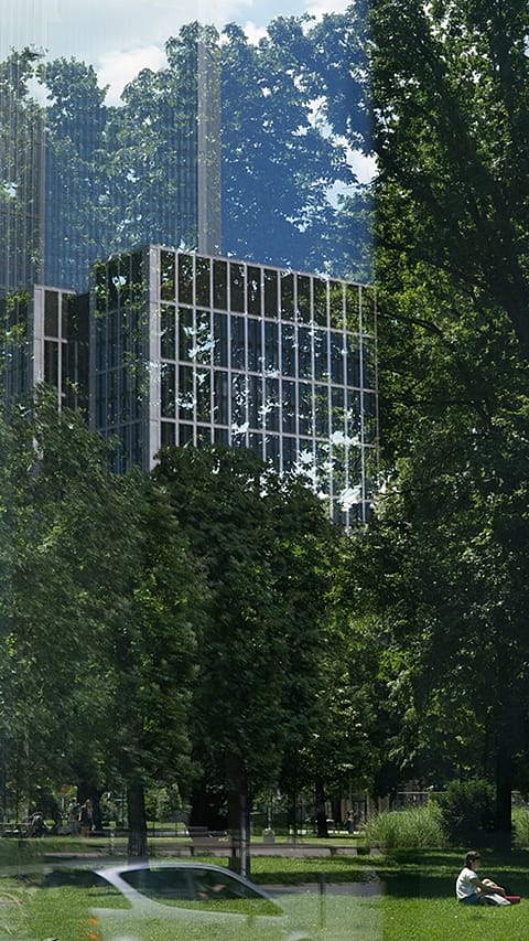 cities_green_reflexion.jpg