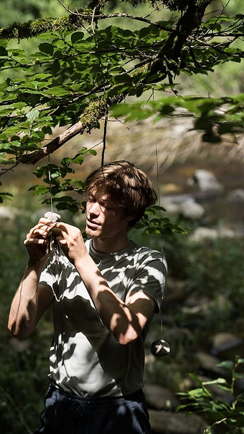 man_tree