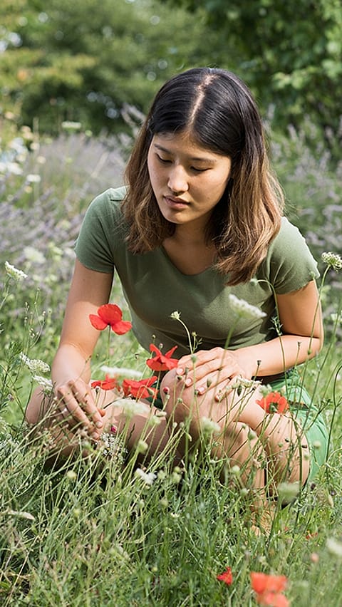 girl_sitting_meadow