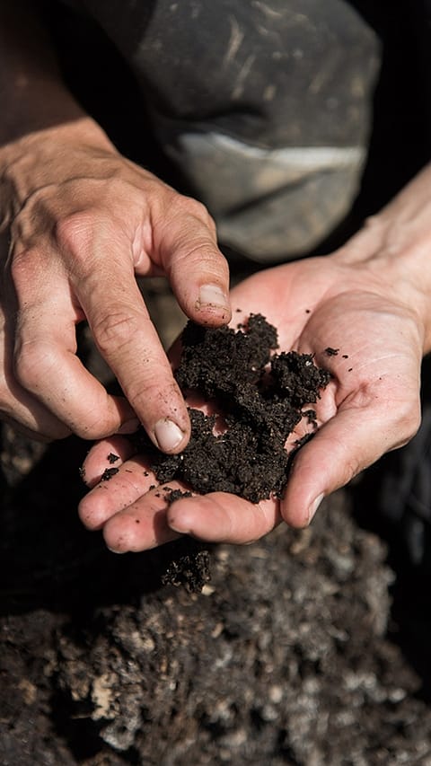 soil_in_hands.jpg