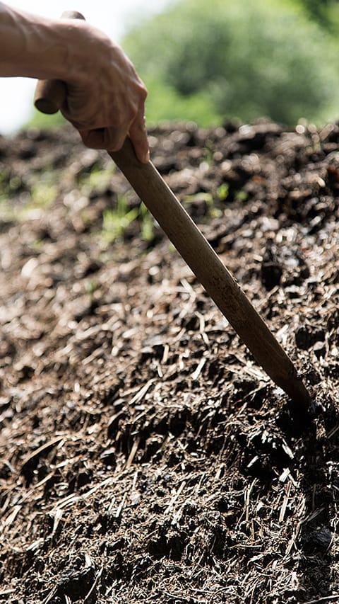 spade_in_compost.jpg