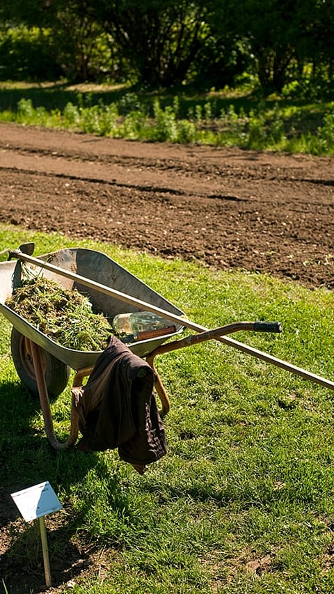 wheelbarrow_next_to_field.jpg