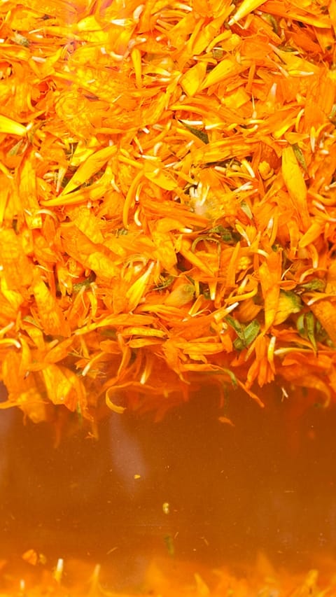 alcohol_extract_iw
