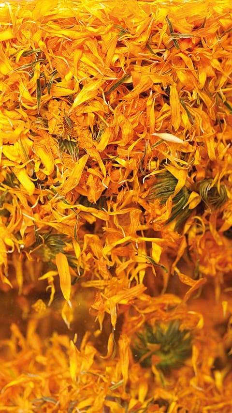 calendula_oil_extract-iw.jpg