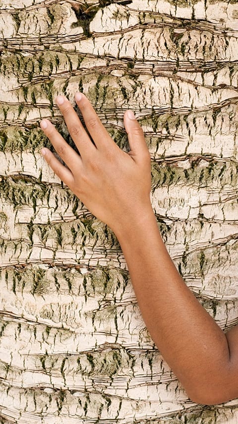 dry_skin_hand