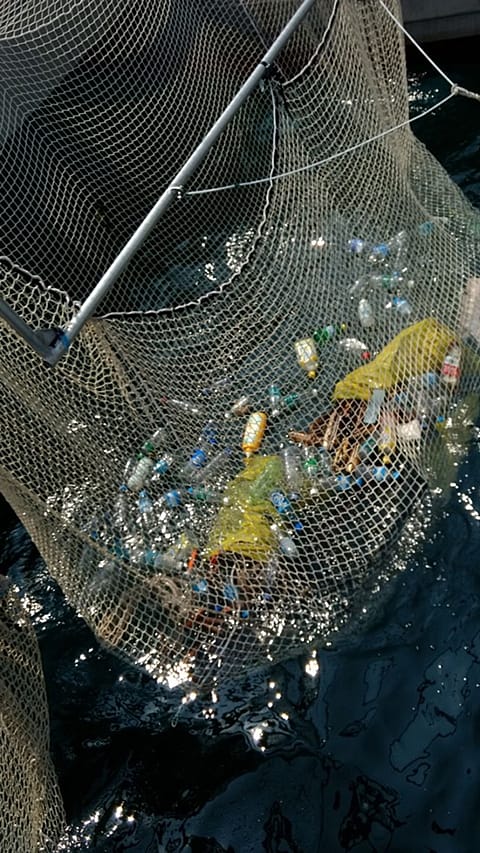 one_earth_one_ocean_plastic_net
