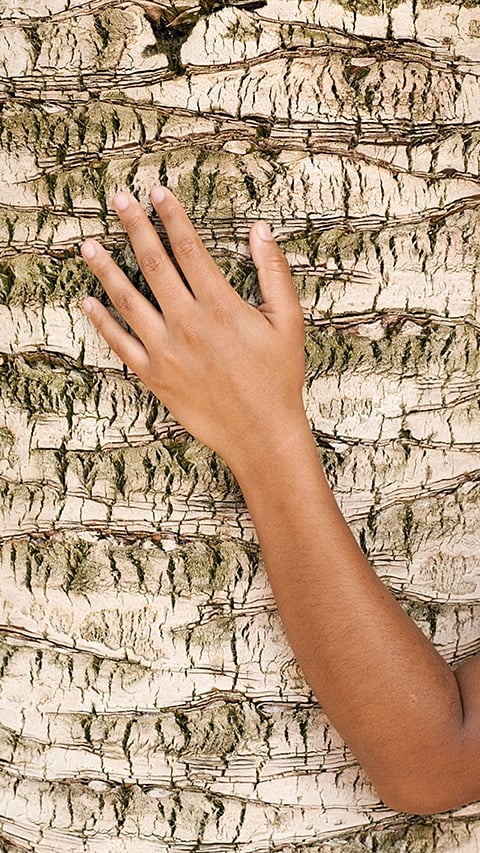 hand_touches_tree
