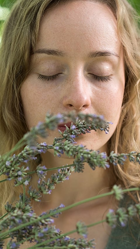 girl_smells_lavender.jpg