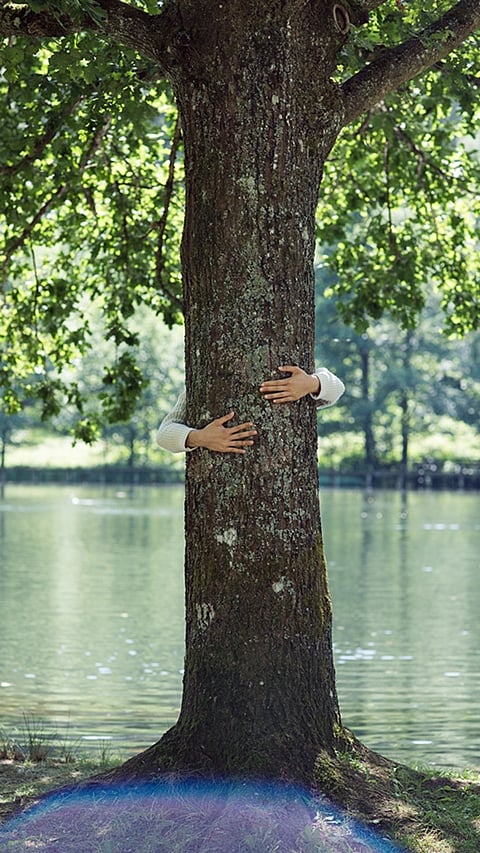tree_hug.jpg