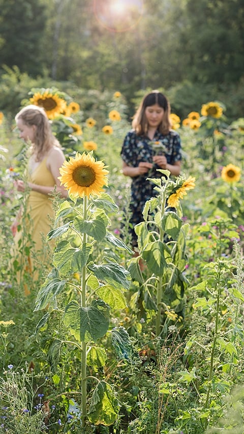 two_girls_sunflower.jpg