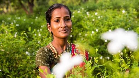 woman in field