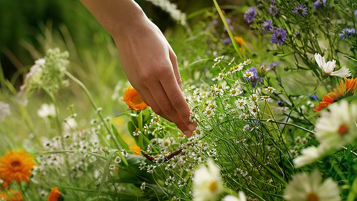 flower arrangement