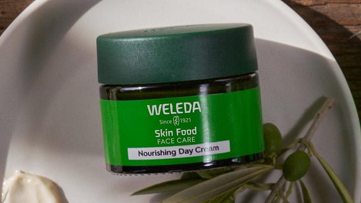 skin food day cream