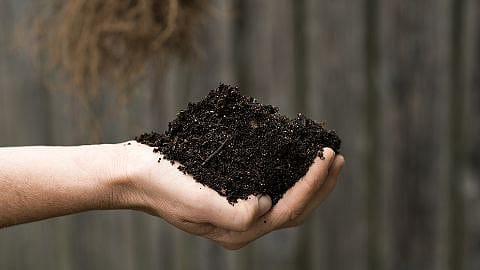 hd_soil_in_hand.jpg
