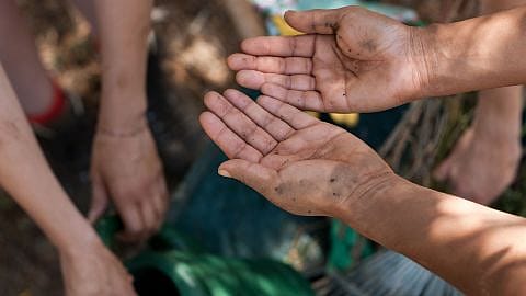 hd_skin_food_gardening_dry_hands.jpg