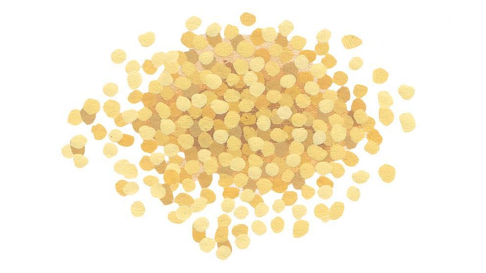 Panicum Miliaceum (Millet) Seed Extract