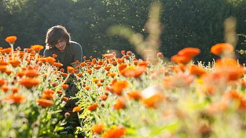 hd_calendua_harvest_byhand.jpg