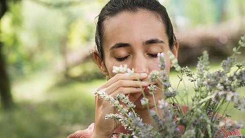 hd_girl_smells_lavender