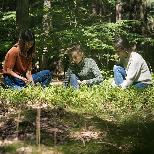 thre_girls_forest_clearing_s