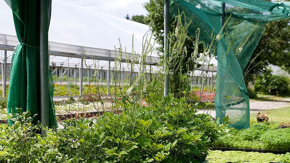 gardenhouse_992_x_558.jpg