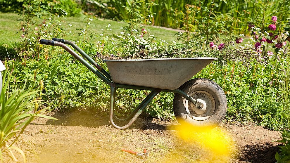hd_wheelbarrow_in_garden