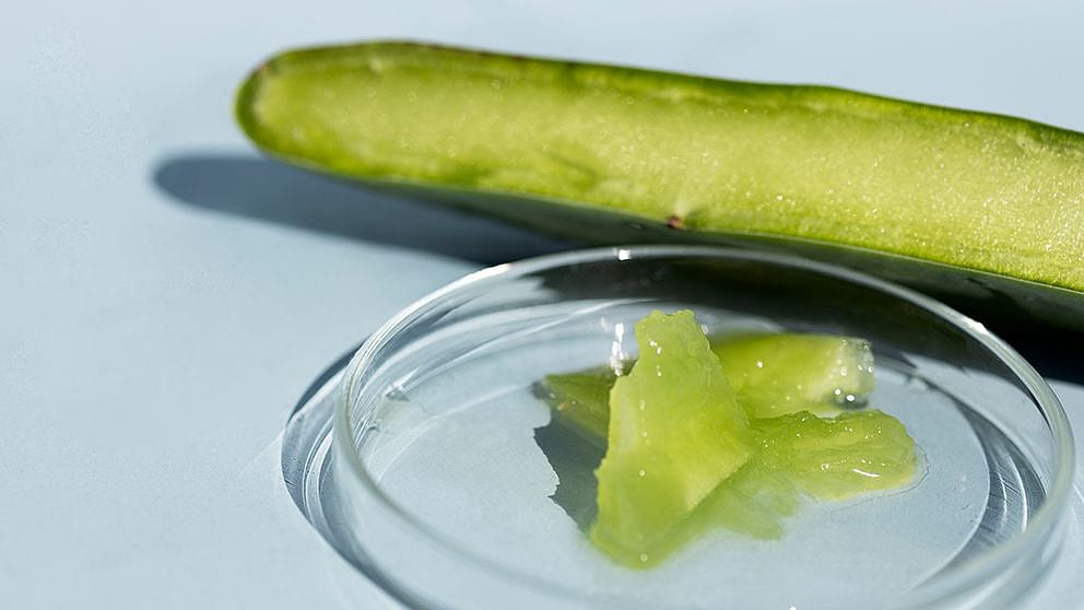 hd_mucilage