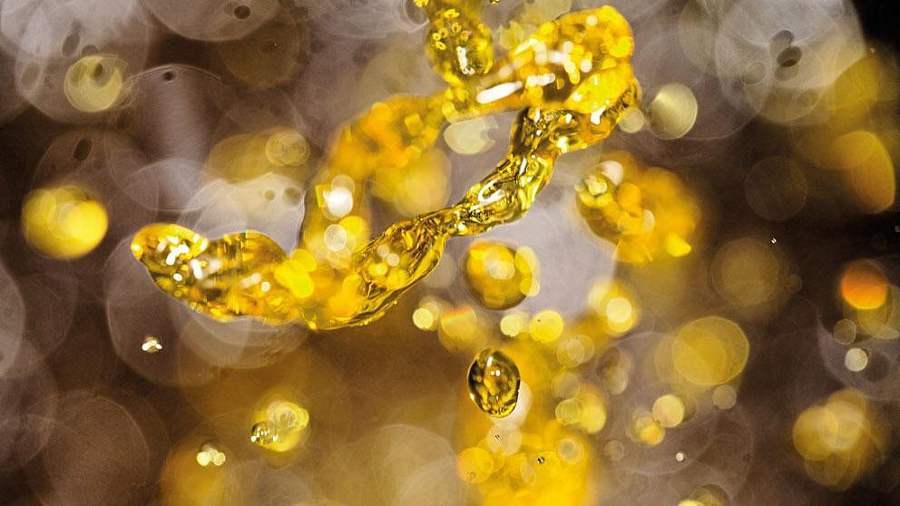 plant-oil_ll.jpg