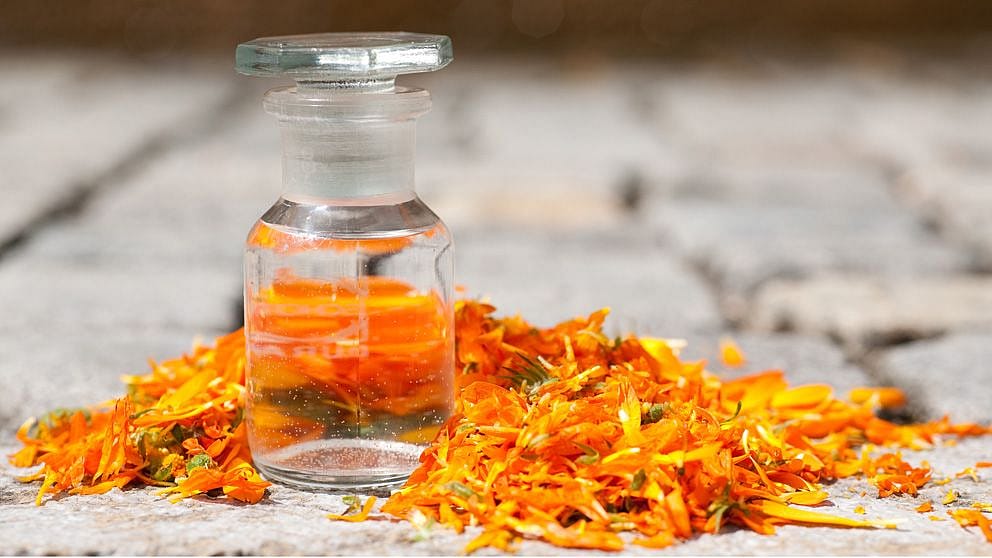 ethanol_extract_lls