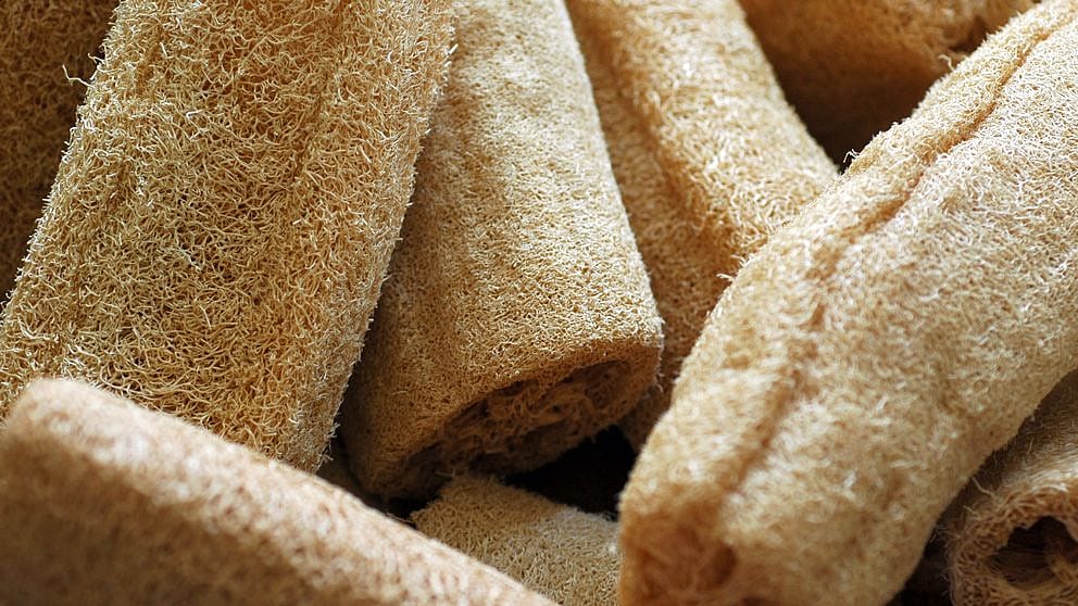 loofah_lls
