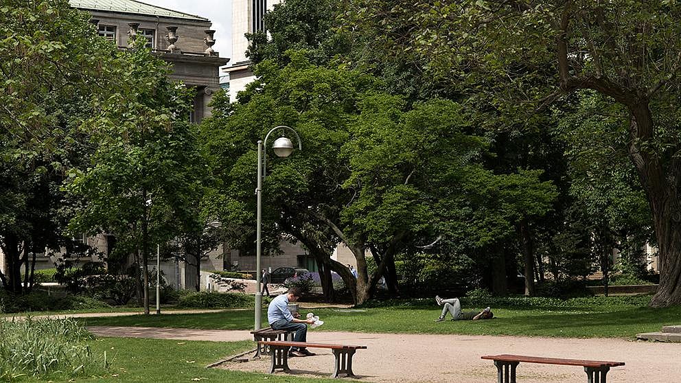 cities_people_in_park.jpg
