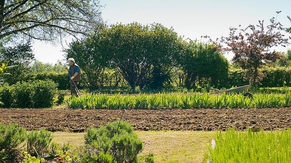 cultivating_field
