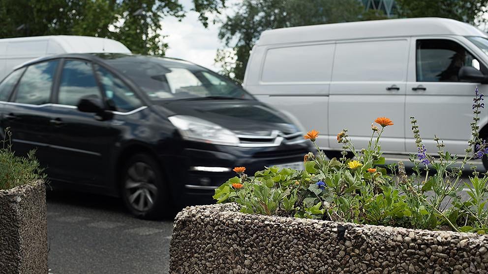 cars_flowerpot.jpg
