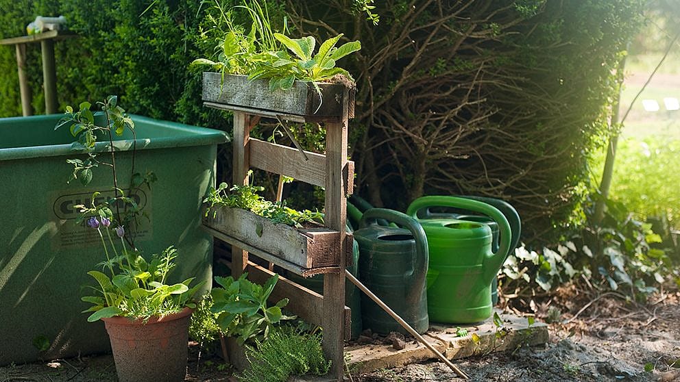 watering_cans_in_garden