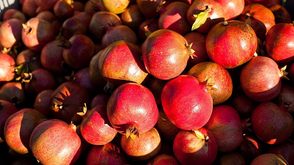 pomegranate_fruits_ll.jpg