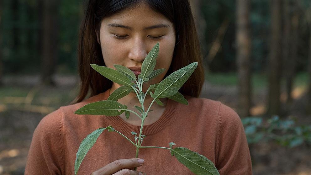 girl_with_sage.jpg