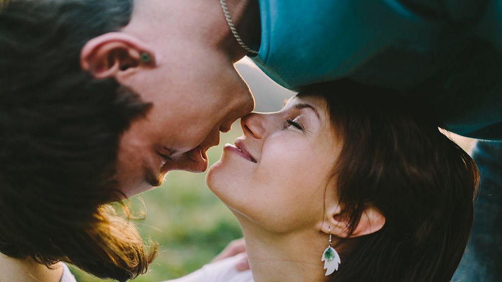 noses_close_couple.jpg