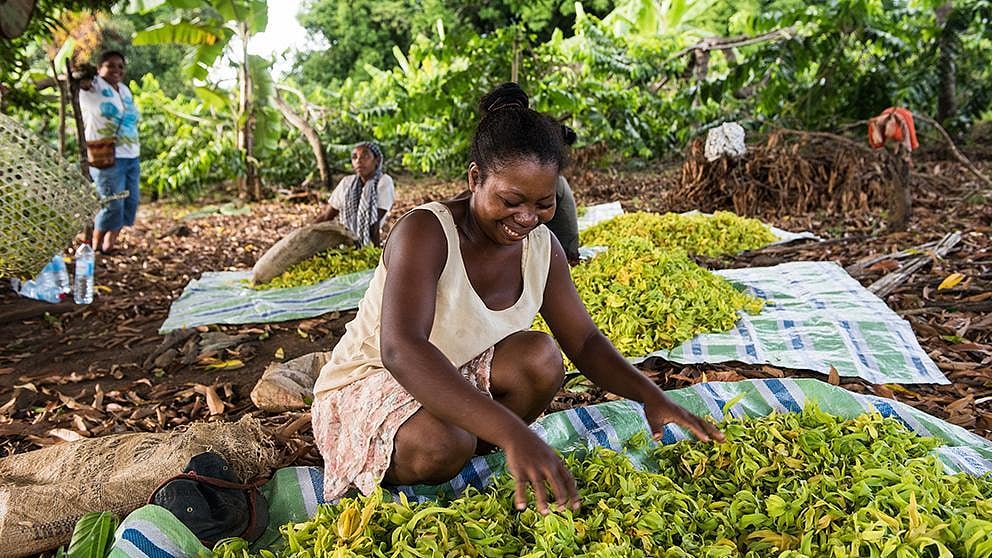 woman with Ylang Ylang