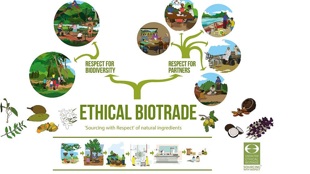 ethical-biotrade-tree.jpg